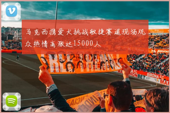 马克西携爱犬挑战敏捷赛道现场观众热情高涨达15000人