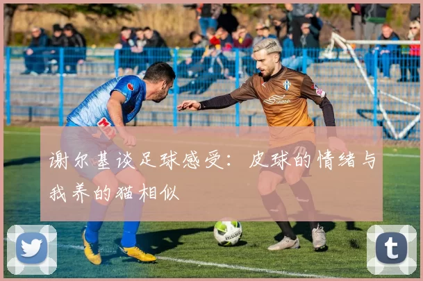 谢尔基谈足球感受：皮球的情绪与我养的猫相似