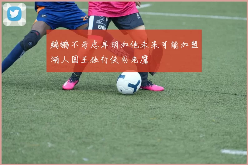 鹈鹕不考虑库明加他未来可能加盟湖人国王独行侠或老鹰