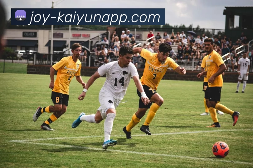 开云体育服务体系